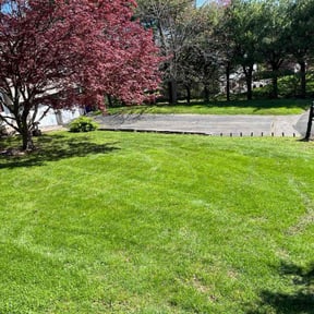 landscaping by R&A landscaping reviewed on August 20, 2025