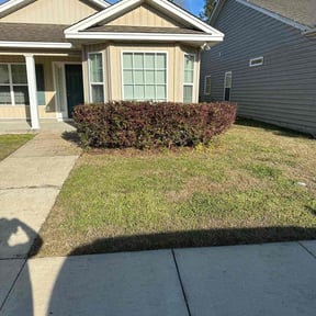 Bush Trimming by Juana's Botanical Landscaping reviewed on September 11, 2023