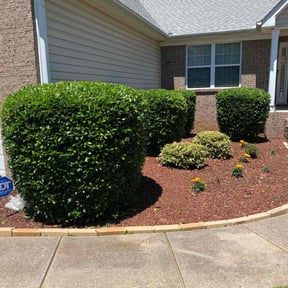 Bush Trimming by EL Concrete Construction LLC reviewed on November 24, 2025