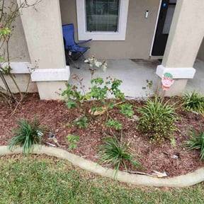 Bush Trimming by Northern Wolf reviewed on October 21, 2024