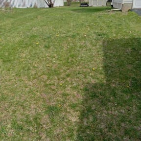 Leaf Removal by Camacho lawn care services landscaping reviewed on September 6, 2025