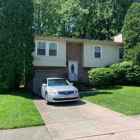 yard work by Evans Lawn Service reviewed on August 20, 2025