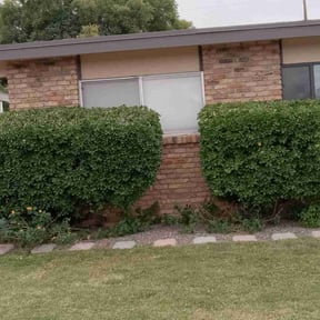 Bush Trimming by Nicks Lawn Care reviewed on August 18, 2025