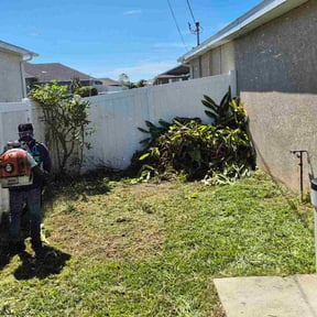 Bush Trimming by Rich Evergreen Mindful Lawn Care reviewed on November 24, 2025