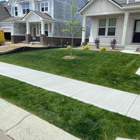 yard work by Verde LLC reviewed on August 15, 2025