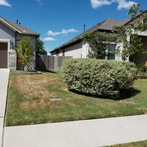 Bush Trimming by JC Lawn Care reviewed on August 16, 2025