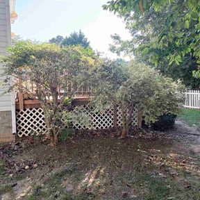 Bush Trimming by G.I.T.G hauls reviewed on August 31, 2026