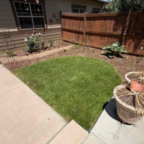 yard maintenance by Keep it clean reviewed on August 15, 2025