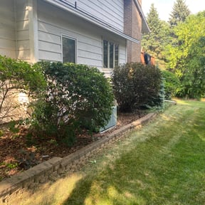 Bush Trimming by All Trim Lawn Services, Inc. reviewed on August 21, 2025