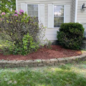 Mulching by Prime Cuts LLC reviewed on May 24, 2026