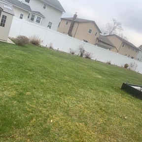 Leaf Removal by Resendiz&#039;s lawn care reviewed on September 14, 2025