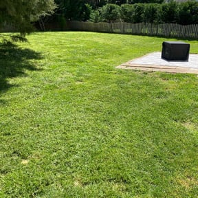 lawn care services by Stream Scene Landscaping reviewed on June 4, 2025