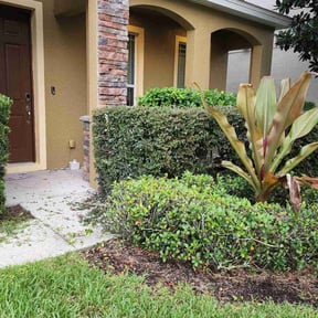 Bush Trimming by Perea Lawn & Sprinkler Service reviewed on August 17, 2025