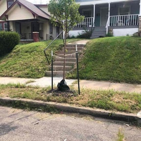 Bush Trimming by Goat Mode Lawncare Services LLC reviewed on December 8, 2025