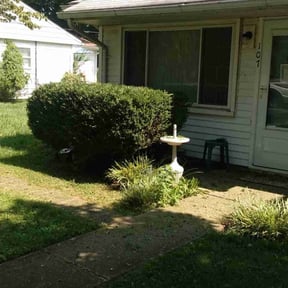 Bush Trimming by Charles Ray lawn mowing reviewed on August 18, 2025