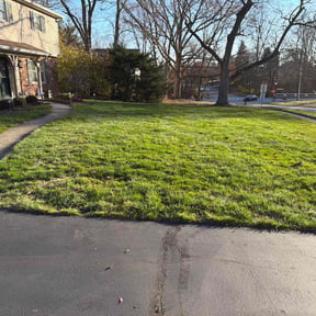 Leaf Removal by Leitkowski Landscaping reviewed on August 16, 2026