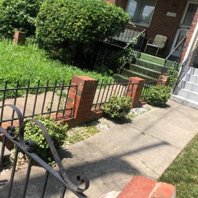 Bush Trimming by D&amp;D All In One reviewed on May 13, 2024