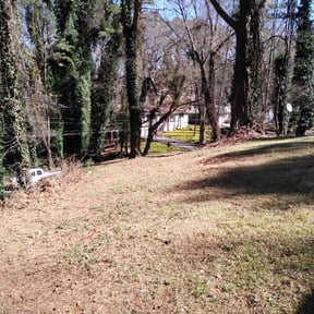 Leaf Removal by ABC Landscaping Group reviewed on August 16, 2025