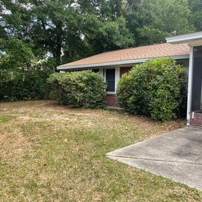 Bush Trimming by Lawn Hope reviewed on August 20, 2025