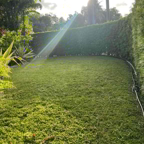lawn service by Miracle Lawn Bros reviewed on April 18, 2024
