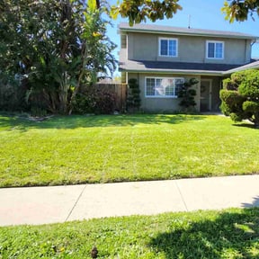 landscaping services by Rich's Renovations reviewed on August 21, 2025