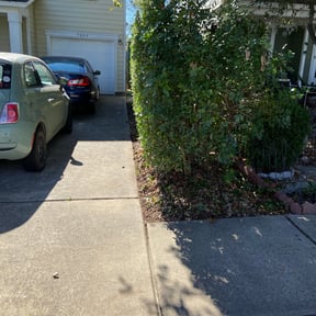 Bush Trimming by Enoch&#039;s Lawn Care reviewed on June 19, 2025