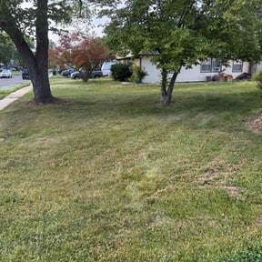 Bush Trimming by Remarkable Lawns LLC reviewed on May 18, 2026