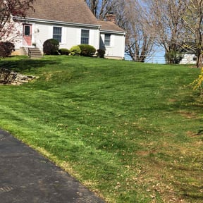 yard service by Frazier Lawn Care reviewed on August 16, 2025
