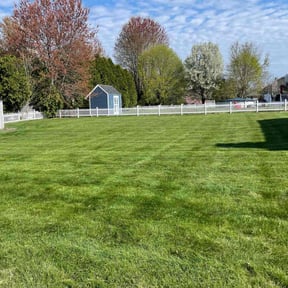 landscape maintenance by Lonestar Lawn Care reviewed on August 21, 2025