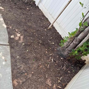 Leaf Removal by Prolific Lawns reviewed on August 15, 2025