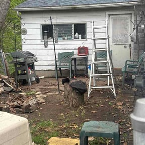 Leaf Removal by Iron city lawn reviewed on July 20, 2026
