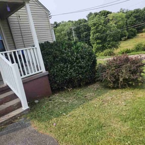 Bush Trimming by Marroquin Landscaping reviewed on July 23, 2026