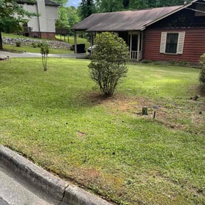 Bush Trimming by Jones premier service reviewed on August 18, 2025