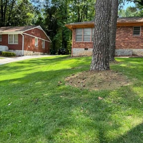 landscaping services by Colabora USA LLC DBA Monster Cuts reviewed on November 24, 2025