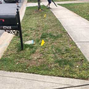 Bush Trimming by Alfredo&#039;s gardening service reviewed on August 15, 2025