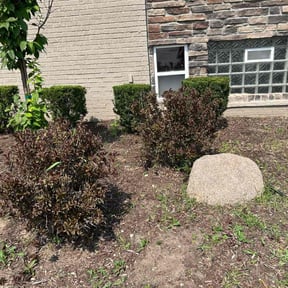 Bush Trimming by Patton Lawn Care reviewed on August 21, 2025