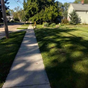 lawn care services by Lindsay’s lawncare reviewed on August 21, 2025