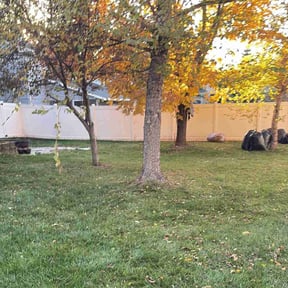 Leaf Removal by Tropilawn Landscaping reviewed on November 10, 2025
