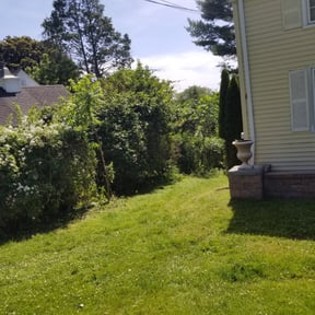 Bush Trimming by Valencia Lawn & Landscape reviewed on August 20, 2025