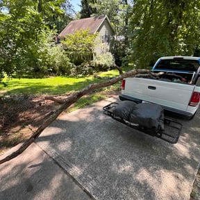 Leaf Removal by Corey J's Lawn Service reviewed on August 29, 2026