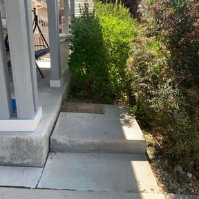 Bush Trimming by Branch Luxury landscape and snow managememt reviewed on July 16, 2026