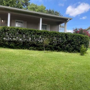 Bush Trimming by Just Cuts Lawn Care reviewed on July 18, 2026