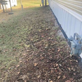 Leaf Removal by Striking Precision lawn service reviewed on March 12, 2026