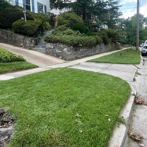 yard service by Murphy's Lawn Service reviewed on December 11, 2025