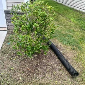Bush Trimming by Newcastle Handyman reviewed on October 9, 2026