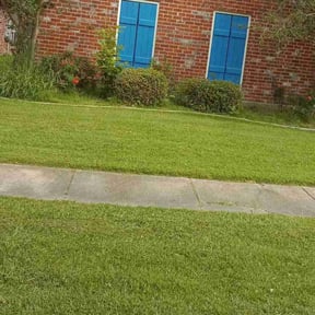 Bush Trimming by Andersen Landscaping llc reviewed on August 15, 2025