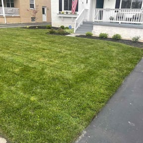 Bush Trimming by Damascus Home Properties reviewed on July 21, 2022