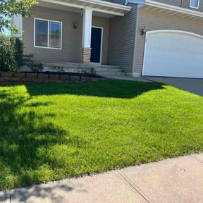 yard care by My small dic reviewed on August 17, 2025