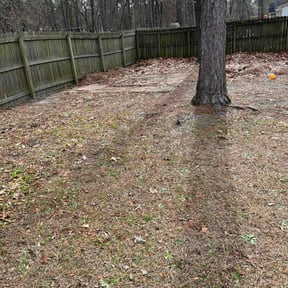 Leaf Removal by All Star Yard Maintenance reviewed on August 20, 2026