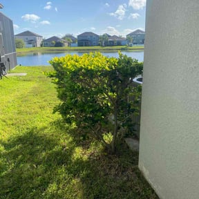Bush Trimming by Elbeauxs Turf Works reviewed on August 20, 2025